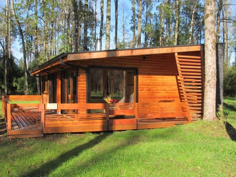 Property building, Day, Garden