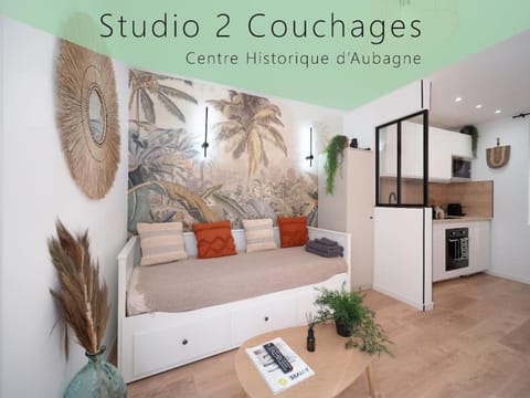 Le Gachiou - Studio 2 couchages - Centre Historique Apartment in French Riviera