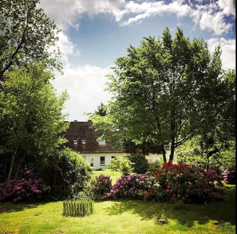 Property building, Garden view