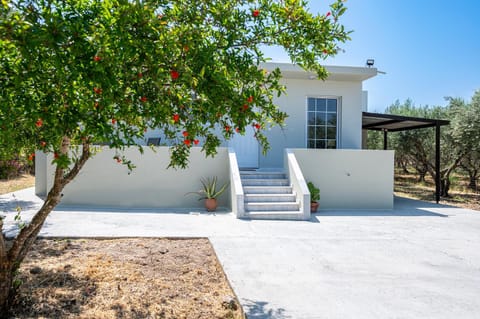 Property building, Spring, Garden view