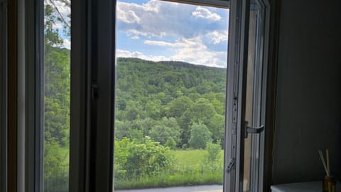 Vila Lipov Hlad Rajac Apartment in Zlatibor District, Serbia