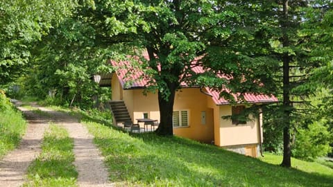 Vila Lipov Hlad Rajac Apartment in Zlatibor District, Serbia