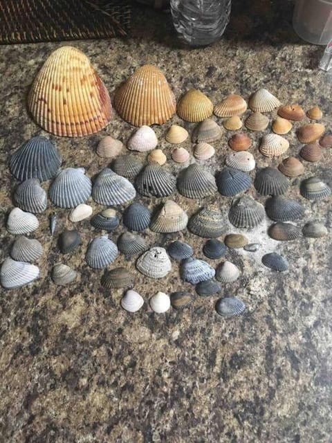 4014 private 2 pools beach dog friendly sleeps 10 House in Alabama