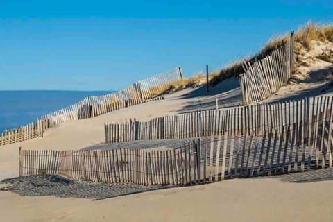 4014 private 2 pools beach dog friendly sleeps 10 House in Alabama