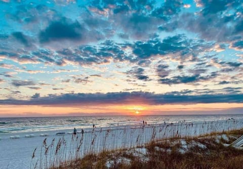 4014 private 2 pools beach dog friendly sleeps 10 House in Alabama