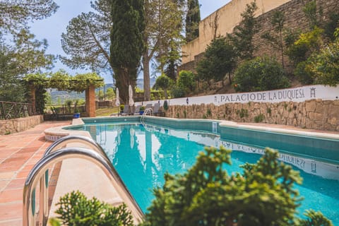 Garden, Garden view, Pool view, Swimming pool