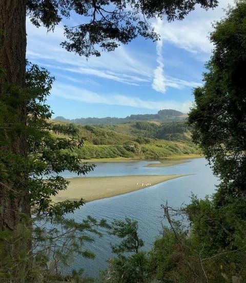 Sonoma Coast River Retreat for 6 Whole House House in Jenner