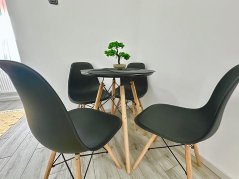 Ayan Studio Bed and Breakfast in Craiova