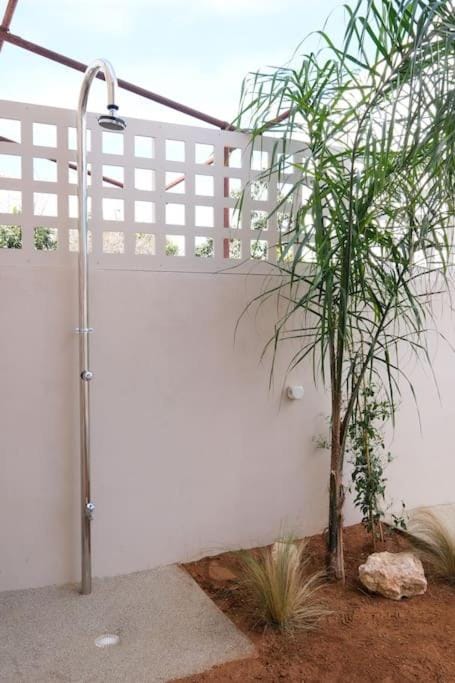 Shower, Patio, Spring, Day, Summer, Garden, Garden view, Swimming pool, Swimming pool, Inner courtyard view