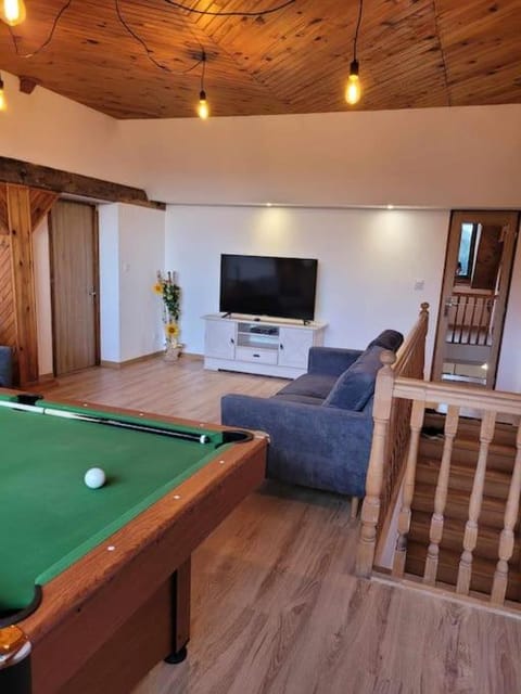 Billiard, TV and multimedia, Living room