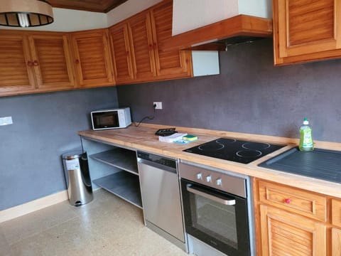 Kitchen or kitchenette, dishwasher, oven, stove