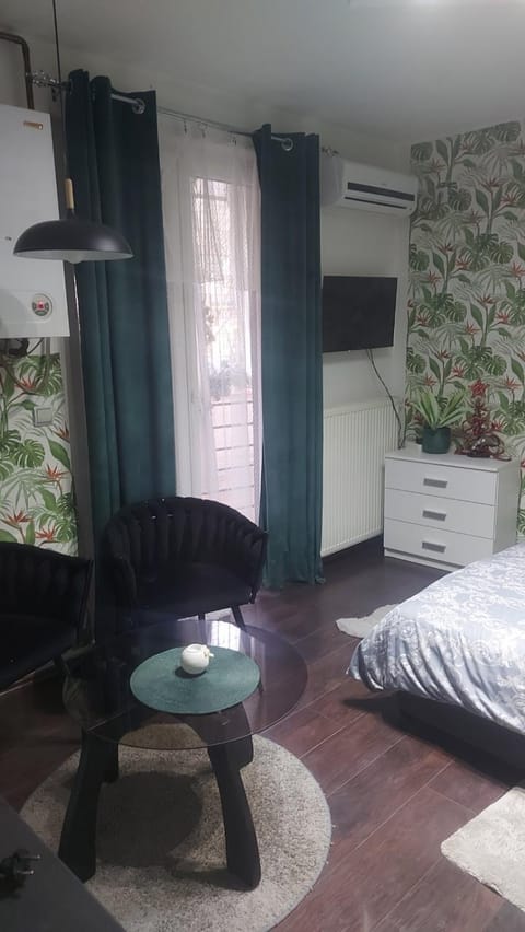 Nena Studio Apartment in Serbia