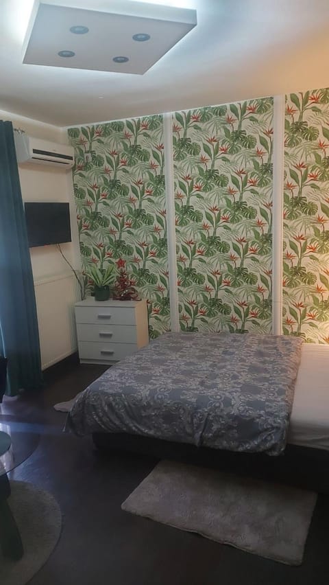 Nena Studio Apartment in Serbia