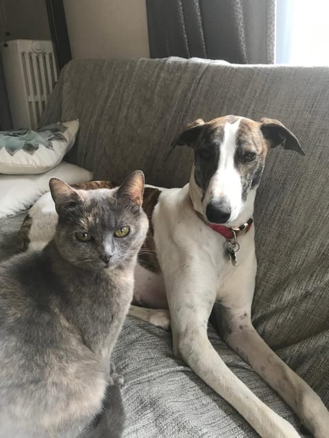 maison caroline bairon Bed and Breakfast in Wallonia, Belgium