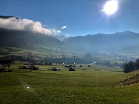 Magnifique Appartement de standing Danièle Apartment in Fribourg, Switzerland