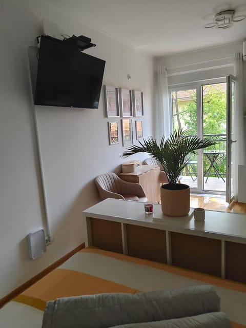 Studio SIESTA Apartment in Serbia