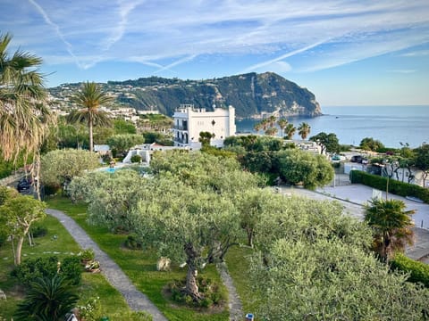 Natural landscape, Garden, View (from property/room), Sea view