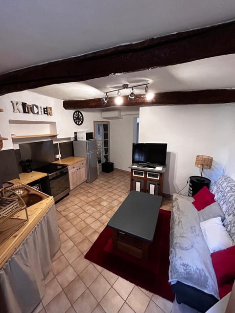 Le petit Villecrozien Apartment in Salernes