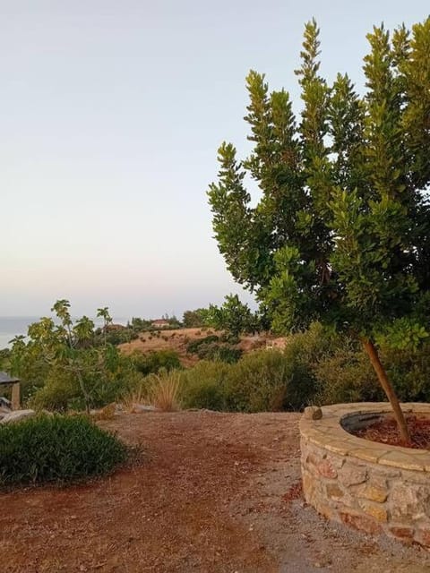 Sofia's summer house Apartment in Messenia