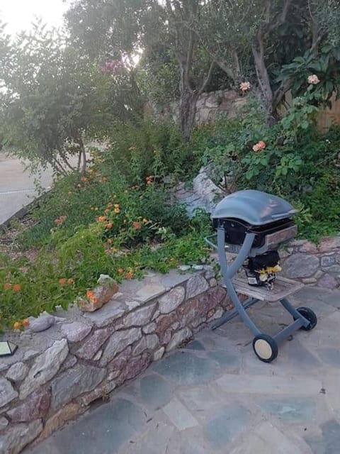 Sofia's summer house Apartment in Messenia