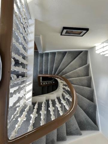 91 Cromwell Street Apartment in Scotland