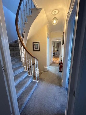 91 Cromwell Street Apartment in Scotland