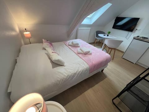 Esprit France, joli studio au coeur de Mulhouse Apartment in Mulhouse