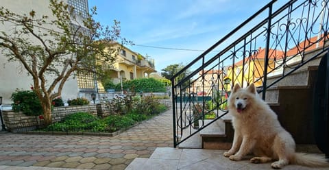 Studio apartman Velvet Apartment in Biograd na Moru