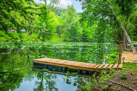 Slowpoke Cabin on Turtle Creek Cabin in Rio Grande