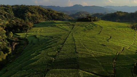 Natural landscape