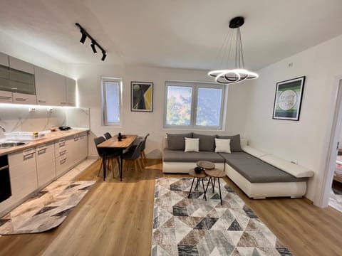 Kitchen or kitchenette, Living room, Photo of the whole room, Seating area