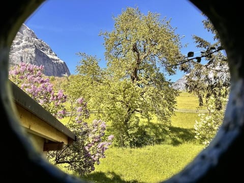 Revier Natur pur House in St. Gallen, Switzerland