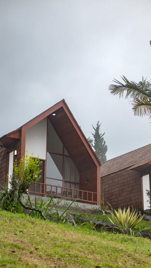 Property building, Day, Garden view