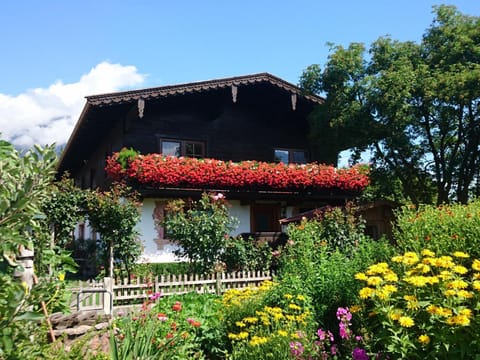 Property building, Summer