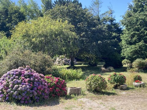 Patio, Garden, Garden view