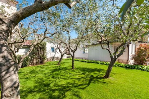 Property building, Spring, Natural landscape, Garden, Garden view