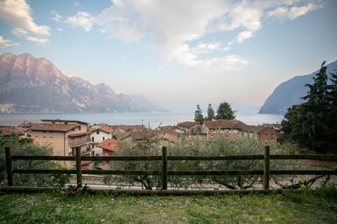 Lake view