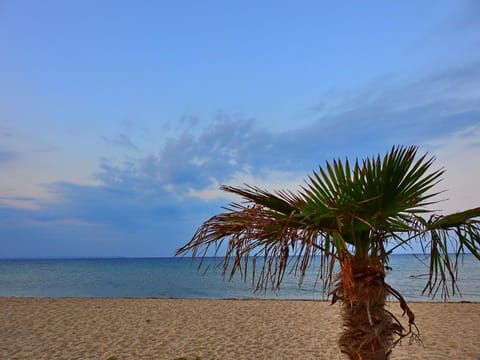 Day, Natural landscape, Beach