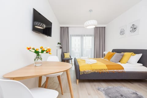 Bed, TV and multimedia, Dining area