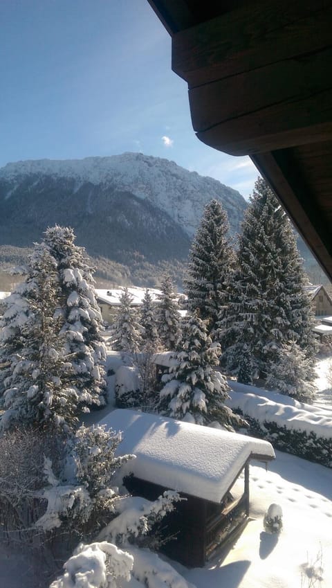 Winter, Mountain view, Mountain view