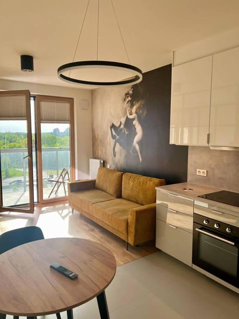Kitchen or kitchenette, Living room, Seating area, Dining area, minibar, pet friendly, stove