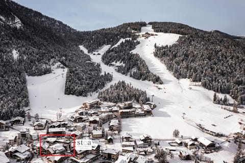 Property building, Winter, Skiing, Skiing