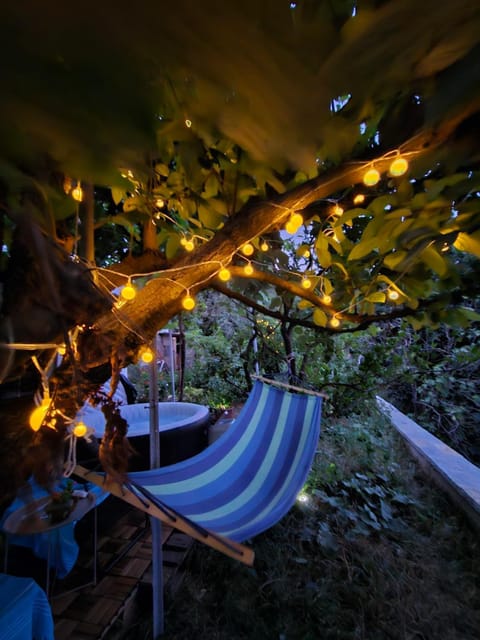 Night, Natural landscape, Garden, Garden view