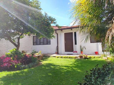 Spring, Garden, Garden view
