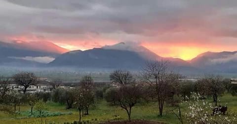 B&B Home Holiday Villa delle Acacie agriturismo Farm Stay in Basilicata