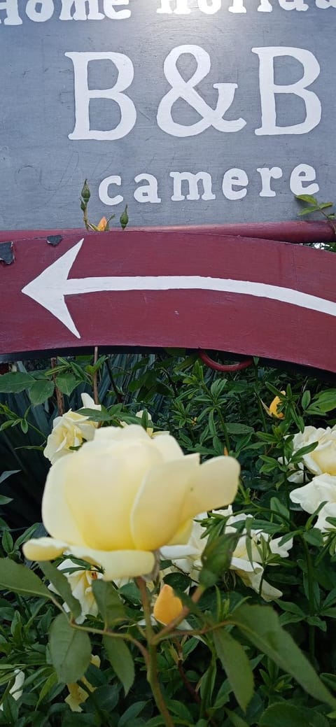 B&B Home Holiday Villa delle Acacie agriturismo Farm Stay in Basilicata