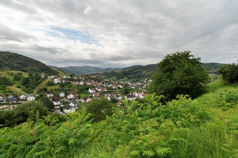 Ferienwohnung Hörth Apartment in Baden-Baden