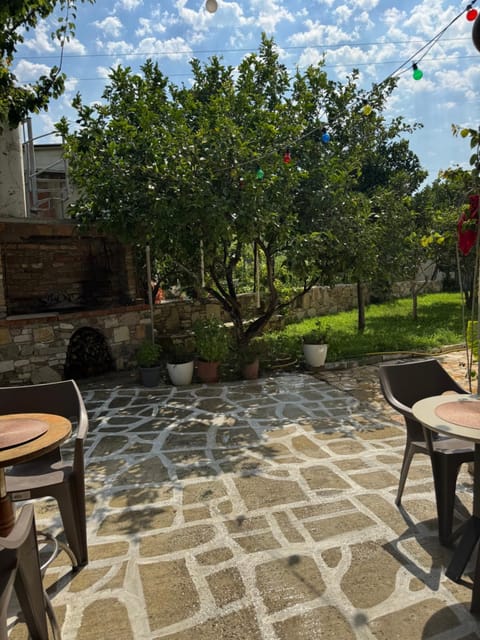 Spring, Garden, Garden view