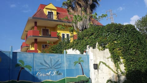 Property building, Day
