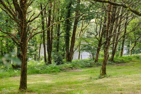 KOADOu Nature lodge in Brittany